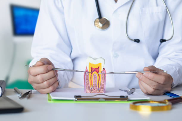 Best Emergency Dentist for Special Needs Patients in Greenville, MI